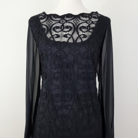 Adrianna Papell Lace Chiffon Scalloped Shift Dress - Picture 5 of 16